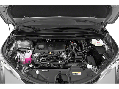 2022 Toyota Sienna Platinum 7 Passenger