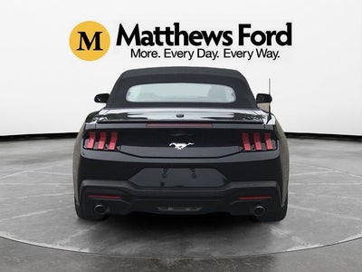 2025 Ford Mustang EcoBoost Premium