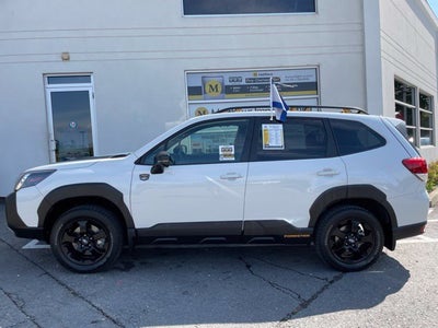 2024 Subaru Forester Wilderness