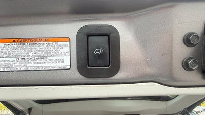 2019 Toyota Sienna XLE 8 Passenger