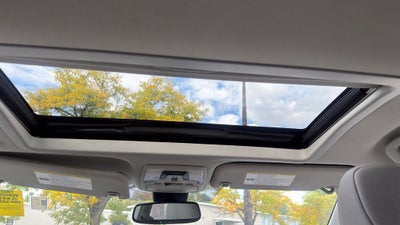 2019 Toyota Sienna XLE 8 Passenger