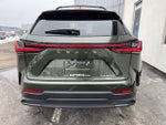 2025 Lexus NX NX 350h Premium