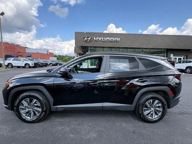 2024 Hyundai Tucson Hybrid Blue
